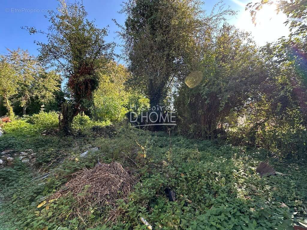 Maison à LA FERTE-GAUCHER