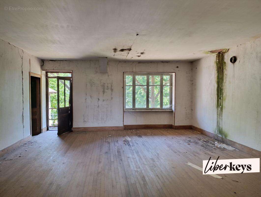 Bord de saône - demeure en pierre - 155 m² habitable - caves - dépendances - 2 puits - 4702 m² zone verte - photo 11