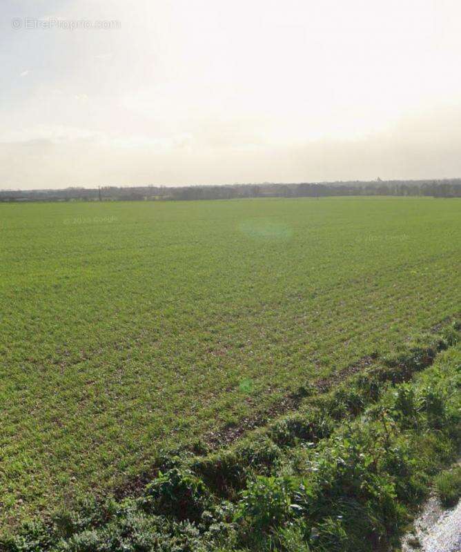 Terrain à SAINT-OUEN-D&#039;AUNIS