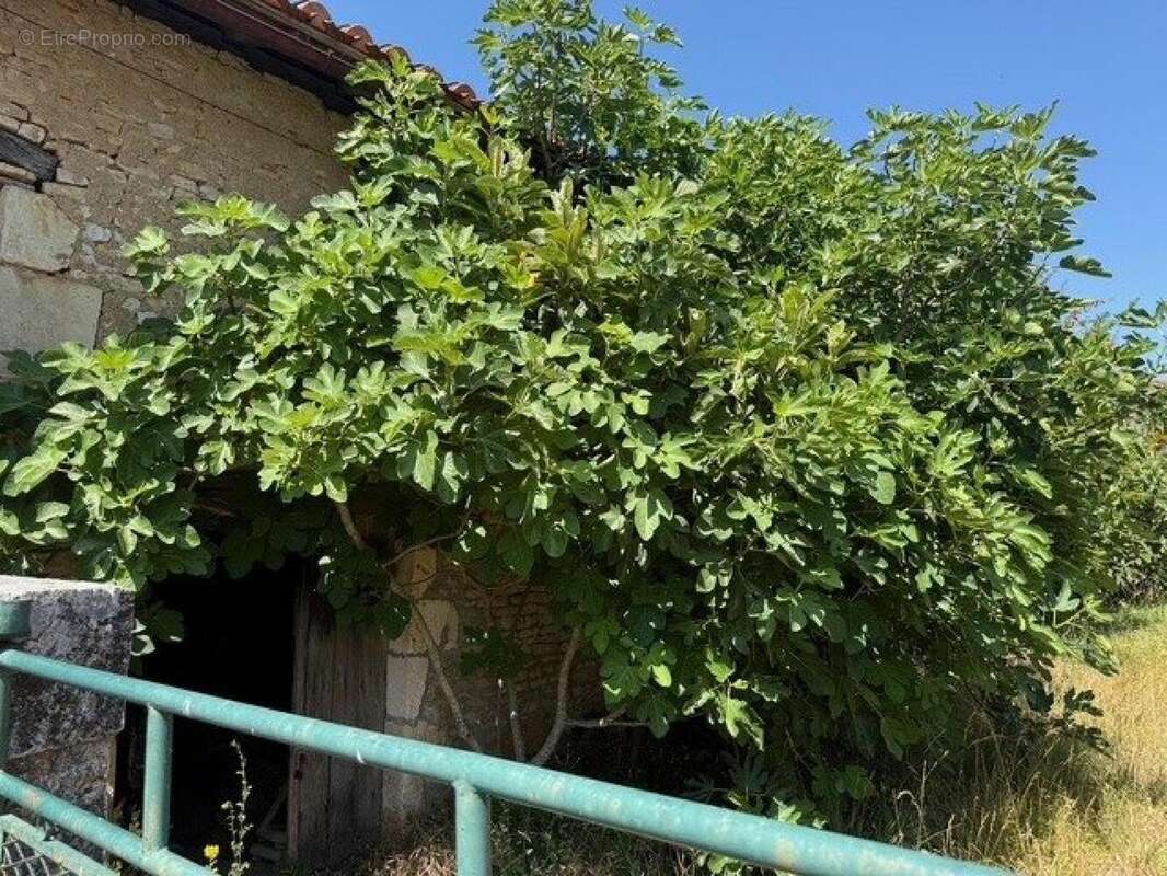 Photo 8 - Maison à AGRIS