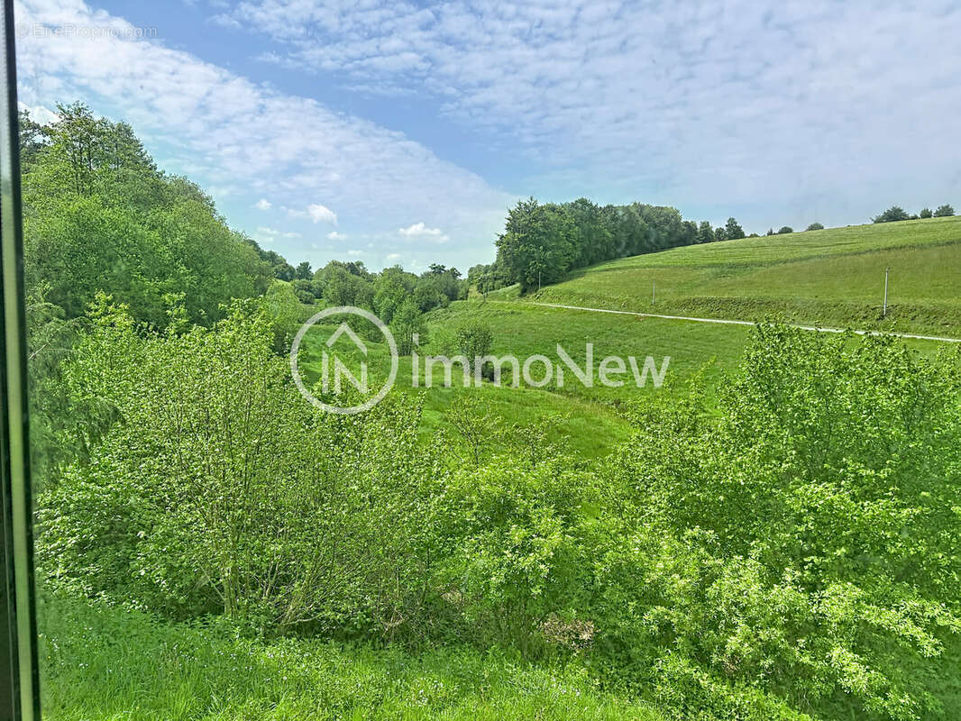 Ensemble de 2 moulins a renover avec biefs + dependances et mobil home sur terrain environ 1 hectare - photo 4