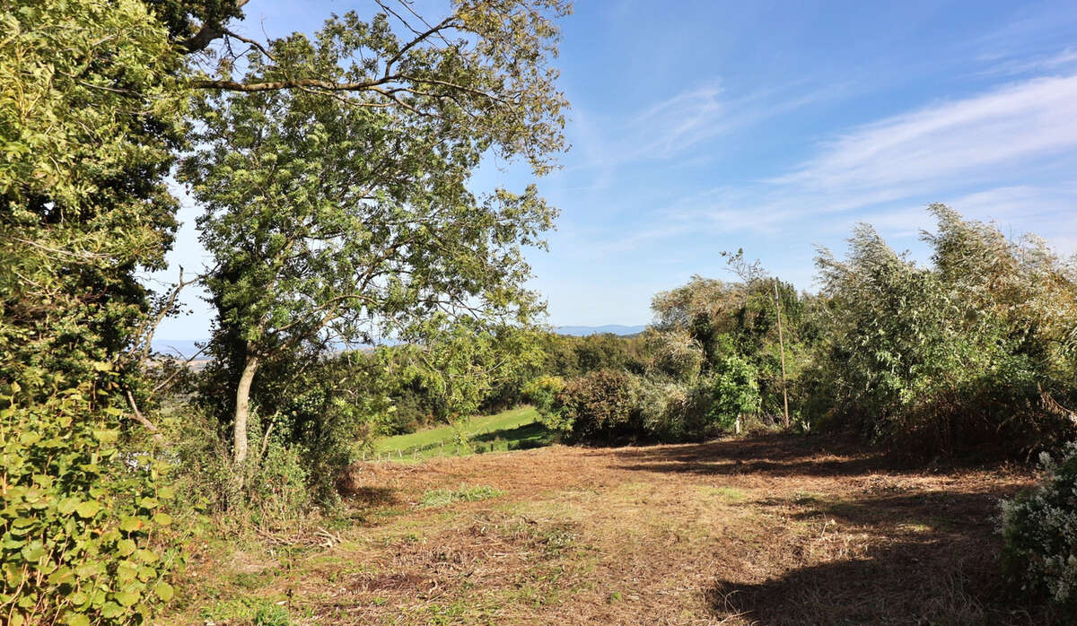 Terrain à SAINT-JULIEN-DE-COPPEL