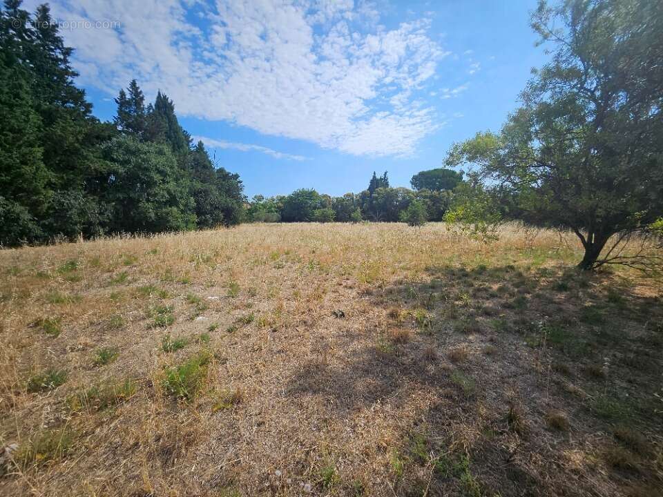 Terrain 356 m² à Fontvieille  - photo 2