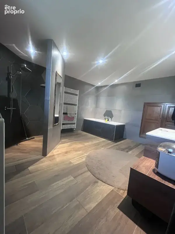 Maison Aillevillers Et Lyaumont 5pièces 200m2 habitables 3297m2 terrain - photo 7
