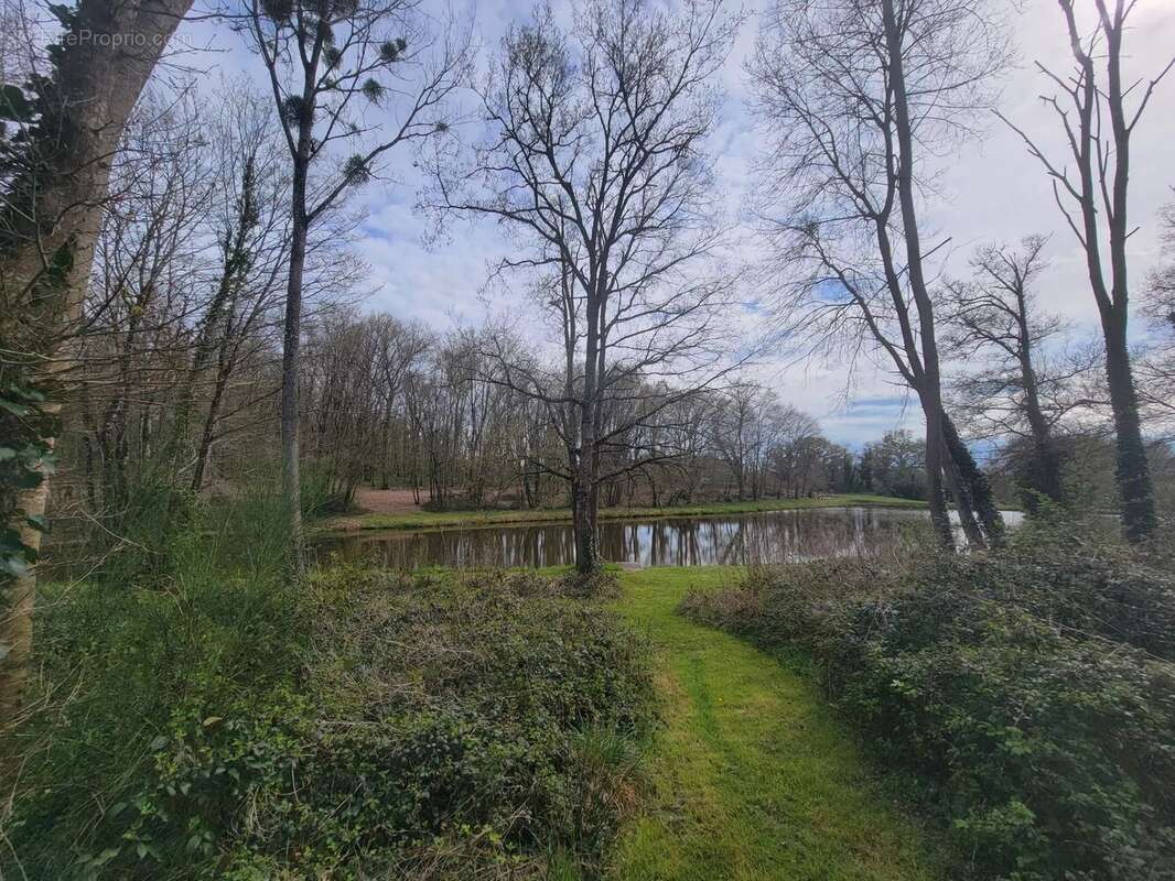 Terrain à LE CHAUTAY