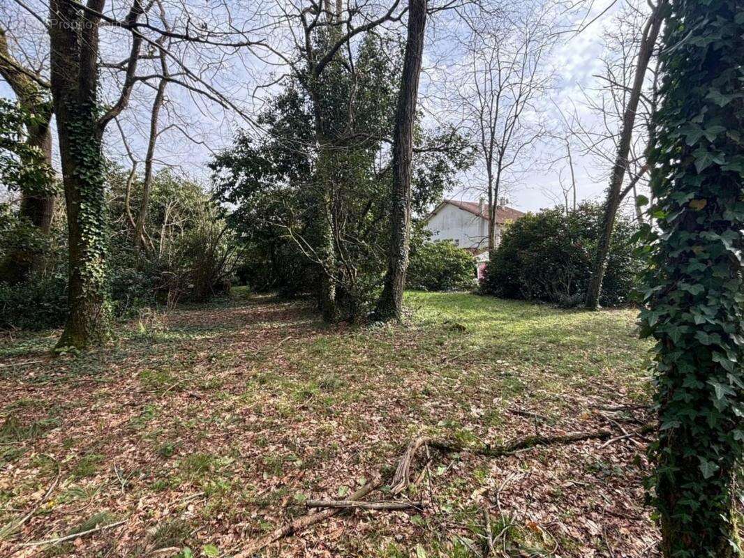 Maison à vendre 7 pièces TERCIS LES BAINS (40) - photo 12