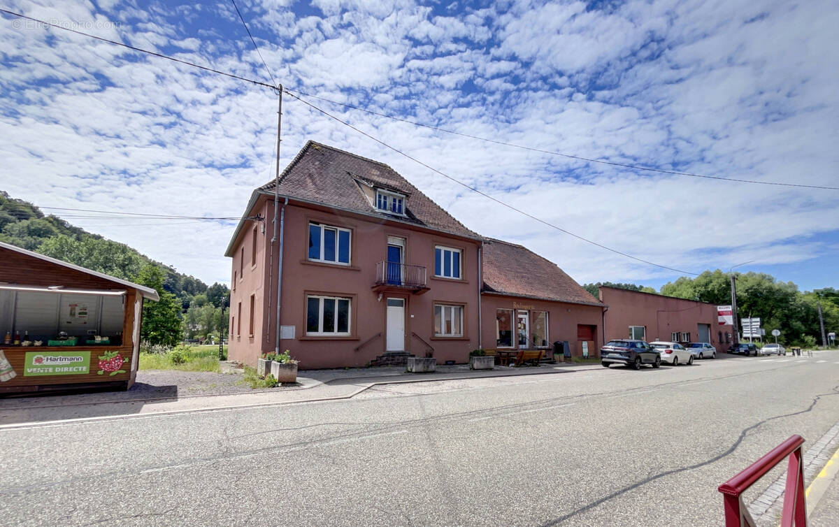 Immeuble mixte habitation/local commercial d'une superficie d'environ 515 m2 sur terrain 3445 m2 à PHILIPPSBOU - photo 1