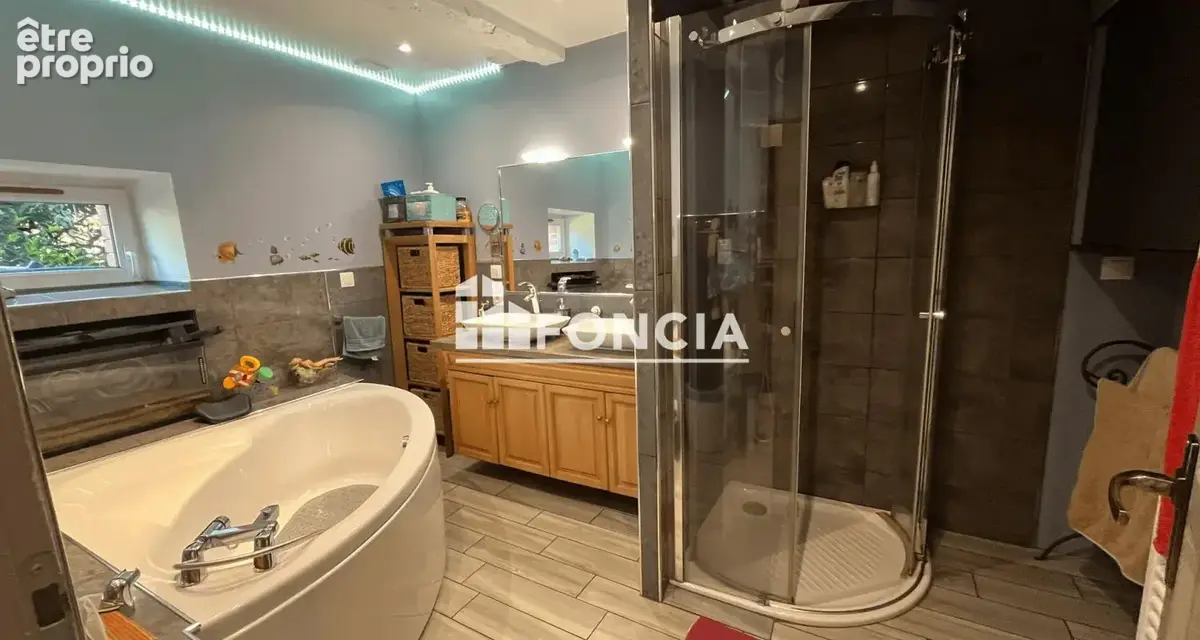 PAMPELONNE Propriété de caractère - photo 18