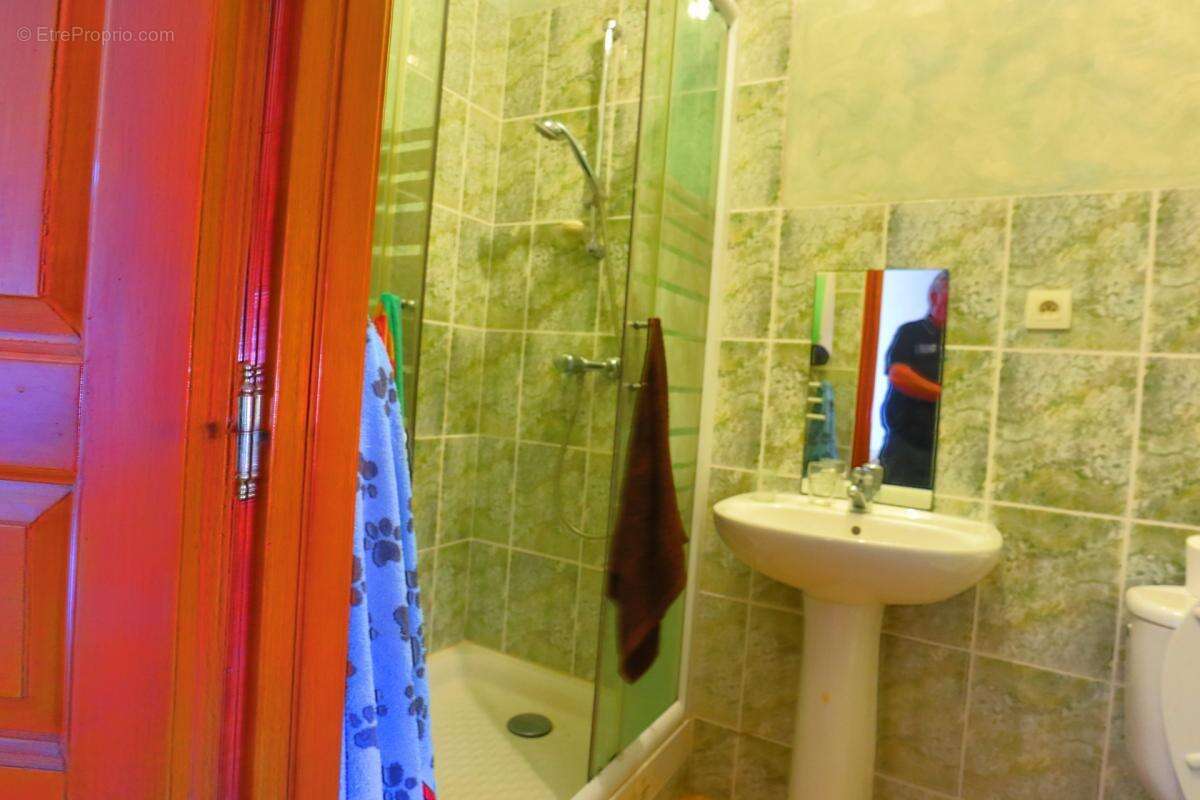 Propriete à vendre 4 pièces NOAILLY (42) - photo 17