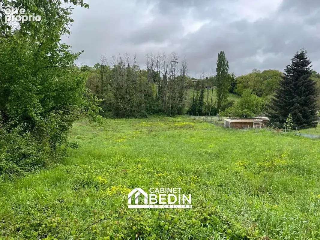 Terrain 4 055 m² à vendre à Branne (33420) - photo 8
