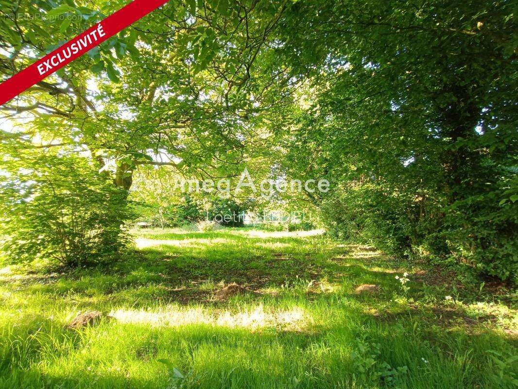 MAISON, 80270 - 69 m² - 6 820 m² de terrain - photo 20