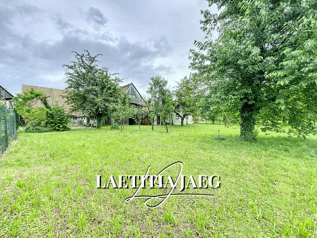 Terrain à BOOFZHEIM