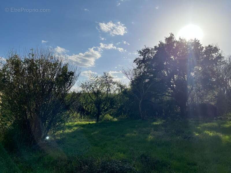 Terrain à RION-DES-LANDES
