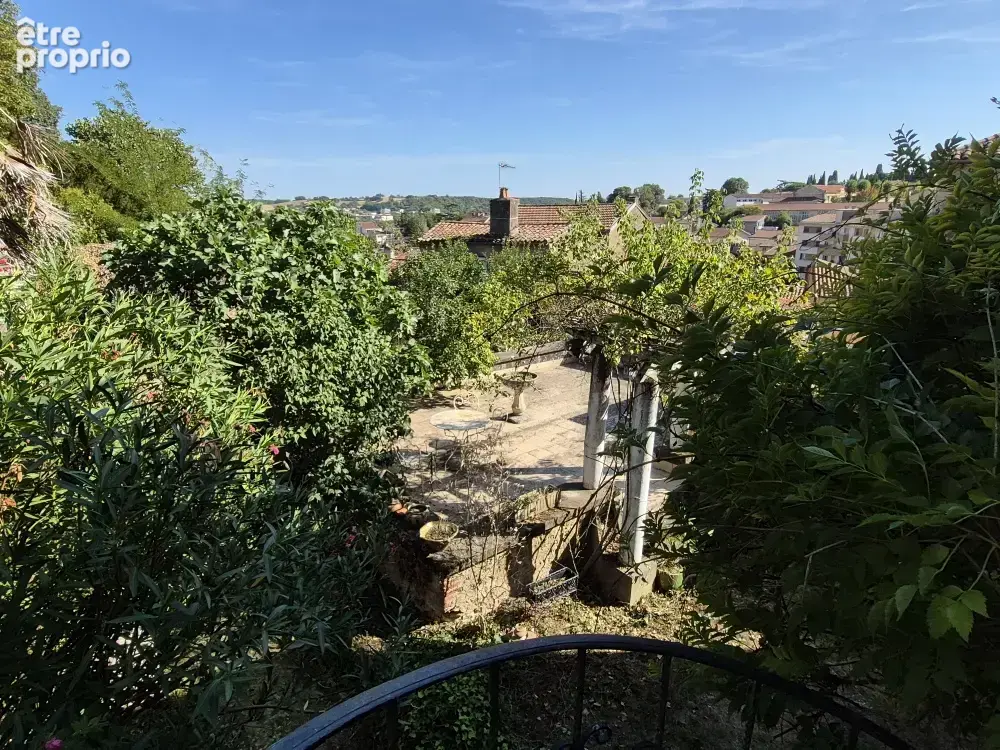 Centre historique d'Auch, Maison bourgeoise d'exception et son écrin de verdure - photo 2