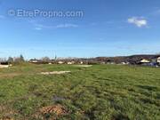 Terrain à ANTONNE-ET-TRIGONANT