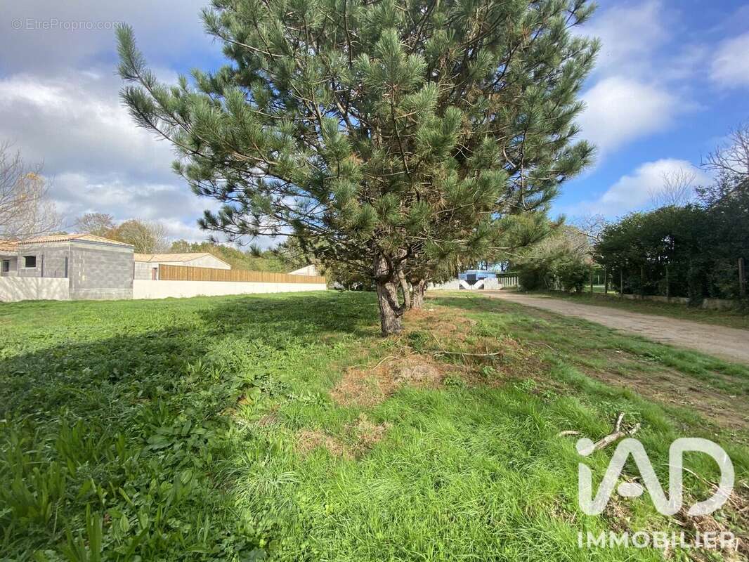 Terrain 665 m² à Landeronde  - photo 2