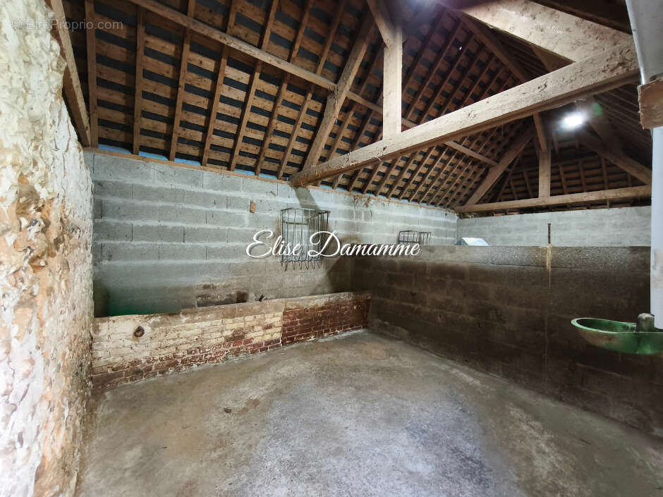 Maison à SAINT-JOUIN-BRUNEVAL