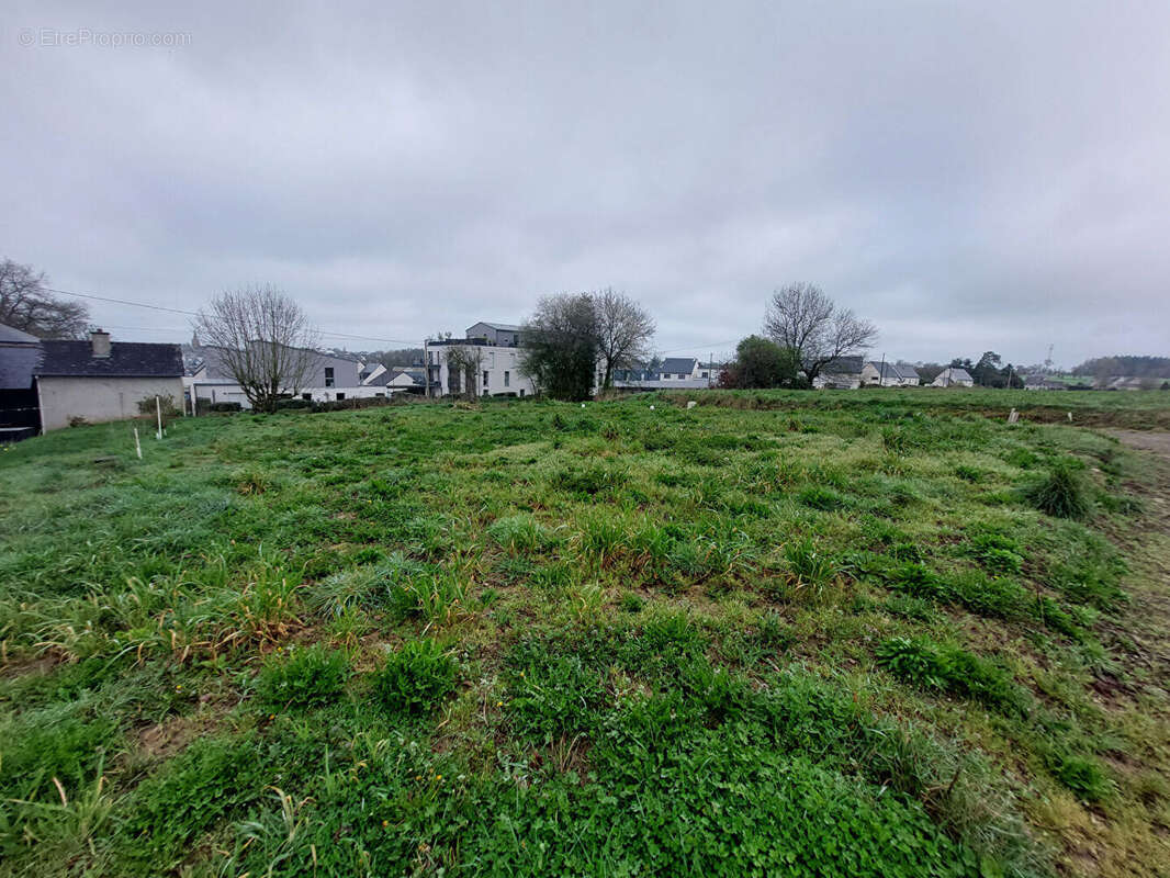 Terrain à MELESSE