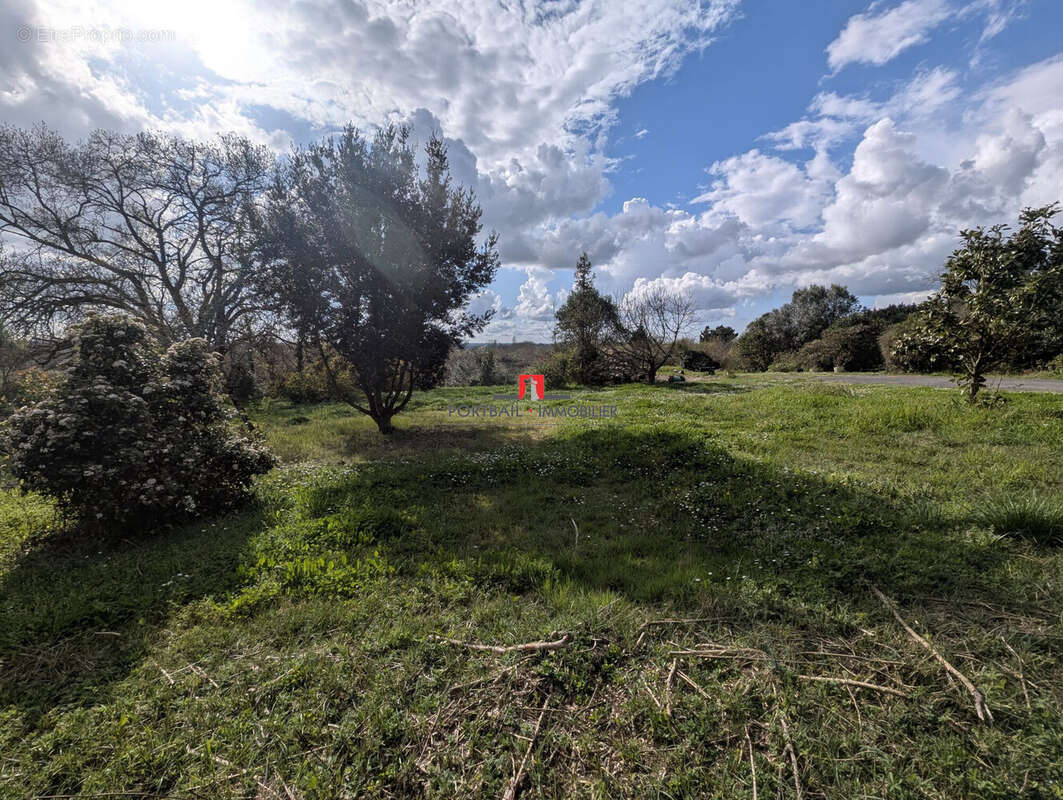 Terrain à PLASSAC