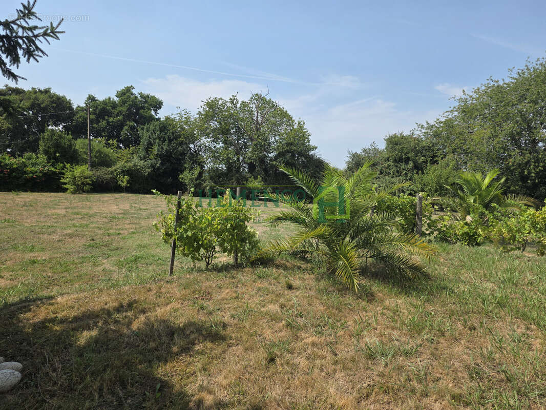 A proximité immédiate de St-Palais. - photo 16