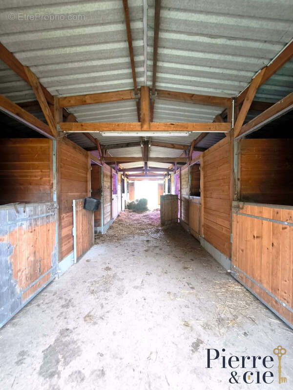 Maison à SAINT-SAUVEUR-DE-CARROUGES