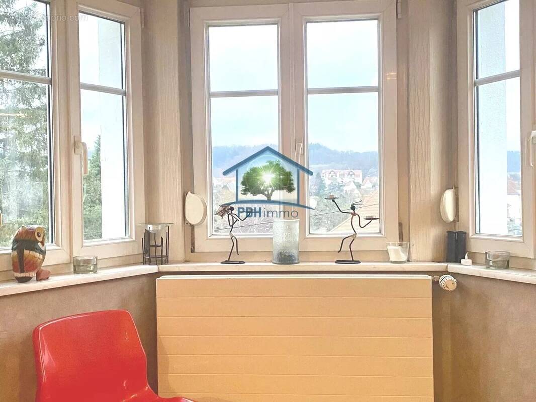 Commerce à SARREGUEMINES