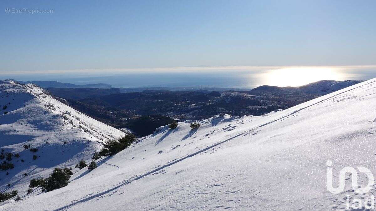 Photo 2 - Appartement à GREOLIERES