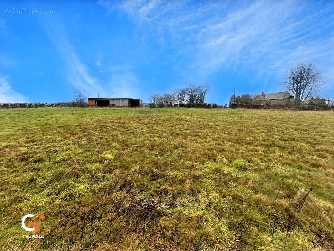 Herbage 7 872 m² - photo 4