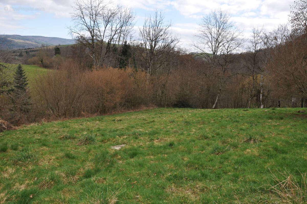 Maison à SAINT-CLEMENT