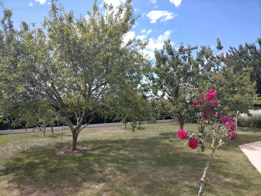 Maison à PLESSIX-BALISSON