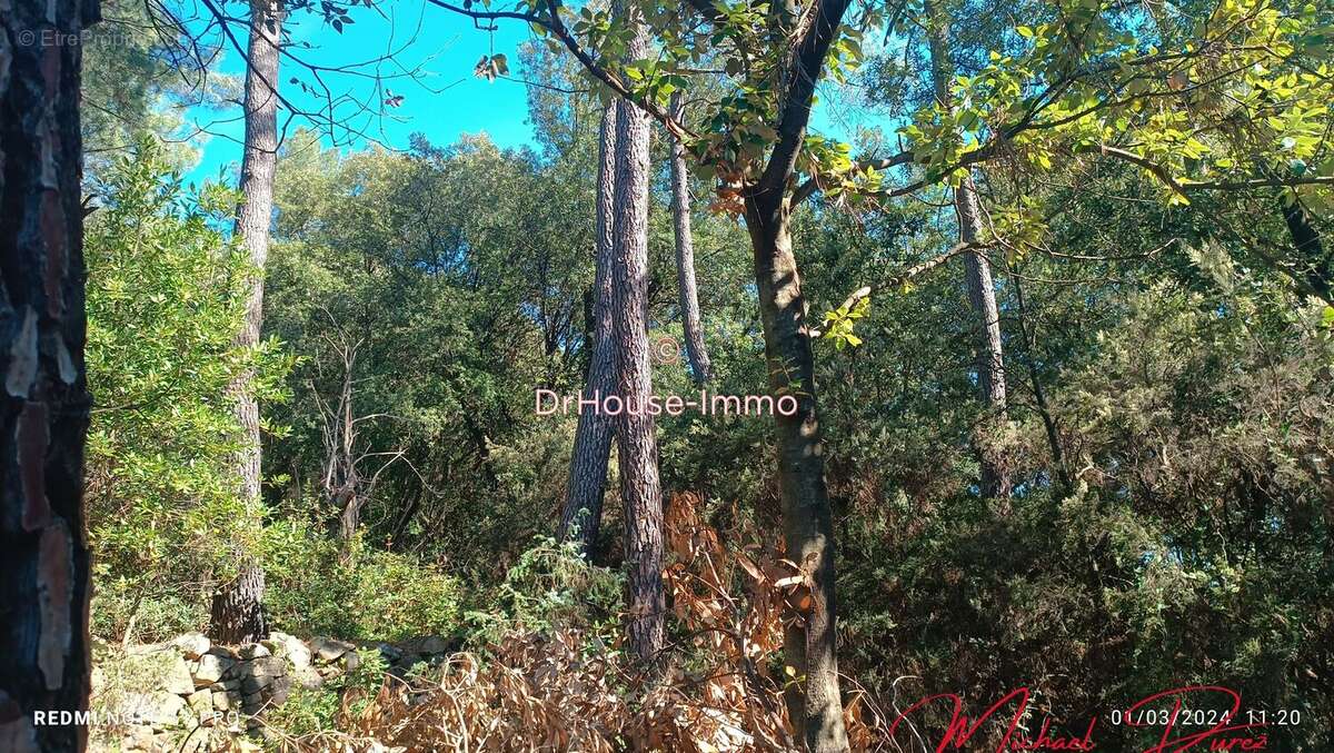 Terrain à SAINT-JEAN-DU-PIN