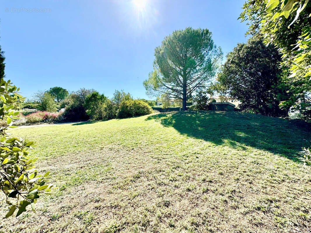 Terrain à LES MATELLES