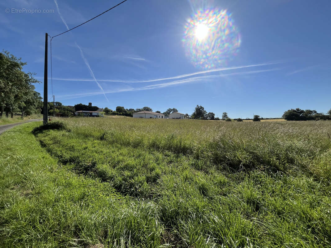 Terrain à PREIGNAN