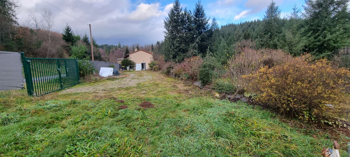 Maison à SAINT-NIZIER-DE-FORNAS