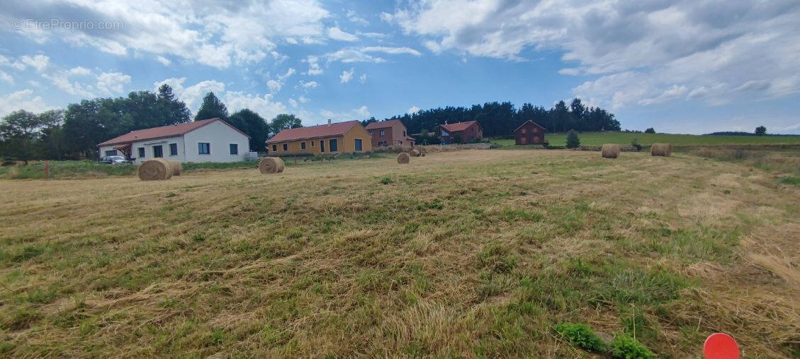 Terrain à CHAMBON-LE-CHATEAU