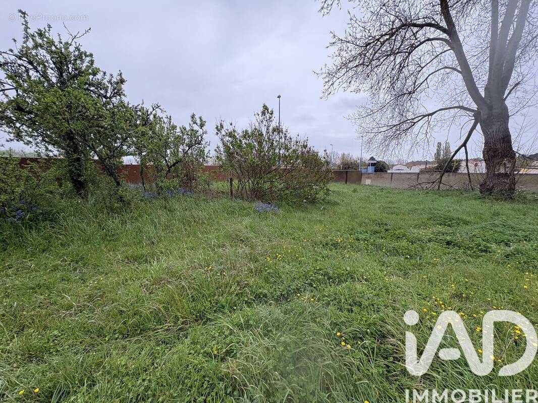Photo 1 - Terrain à NOTRE-DAME-DE-MONTS