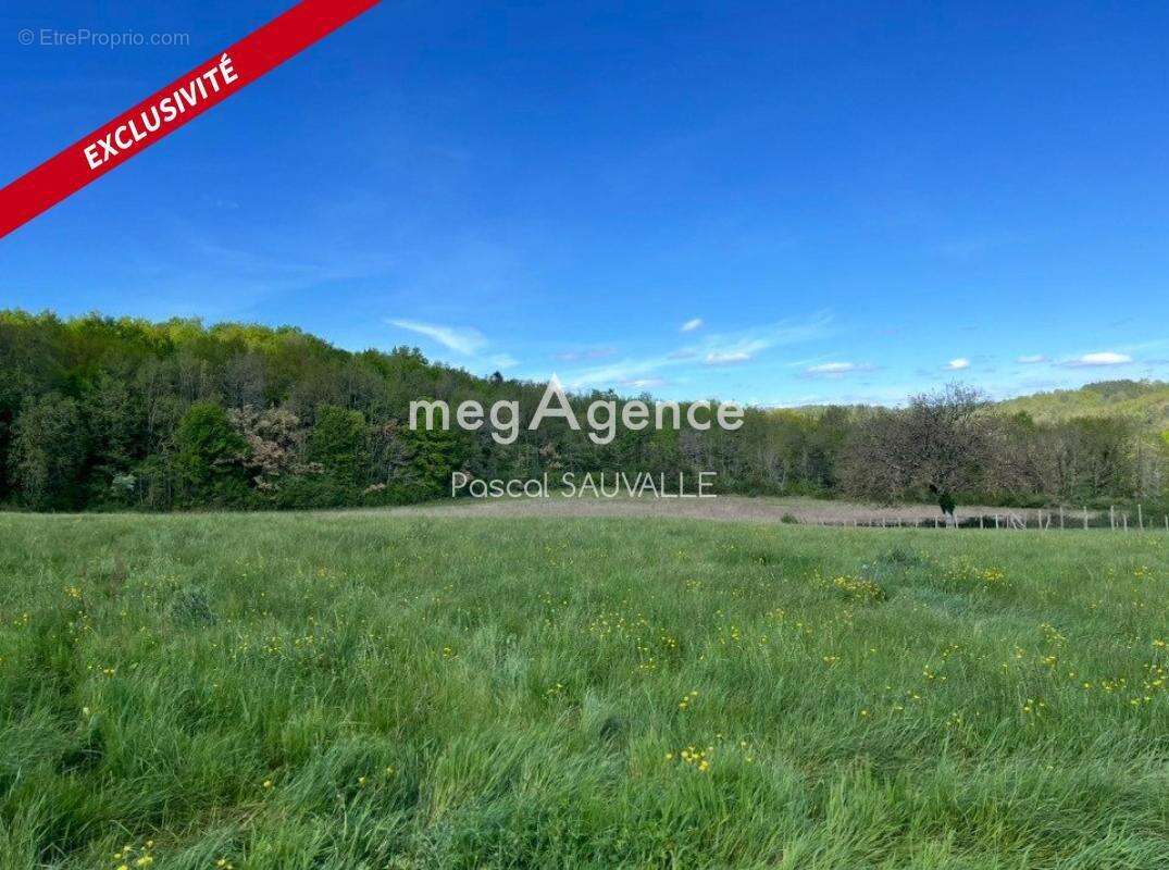 Terrain à CAMPSEGRET