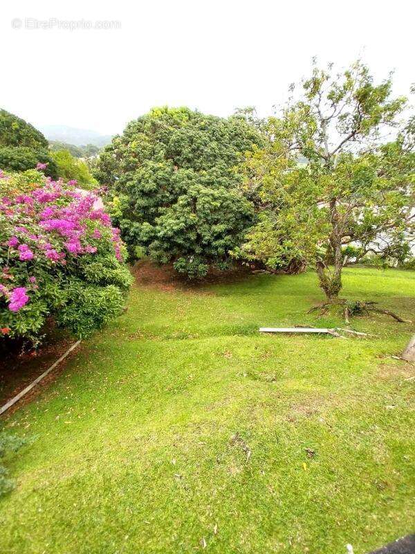 A vendre : maison t6 a redoute, fort-de-france  (97200) - photo 9
