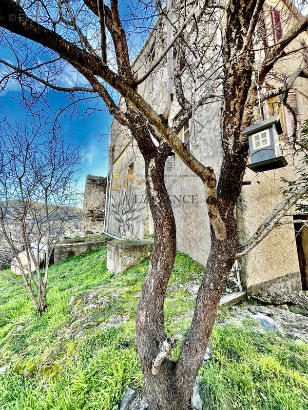 Maison à MOLTIFAO