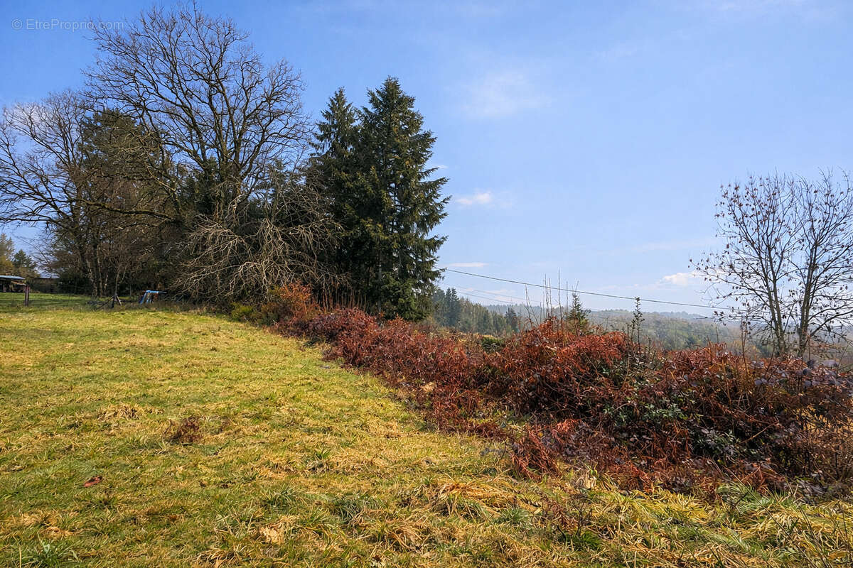 Terrain à MESTES
