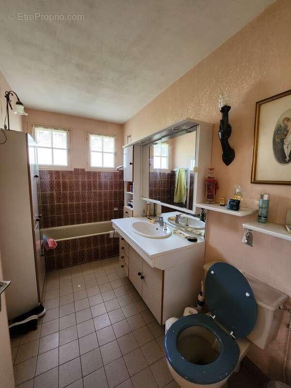 Maison à LE PALAIS-SUR-VIENNE