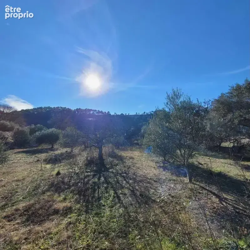 Terrain 766 m² à Cuges-Les-Pins  - photo 3