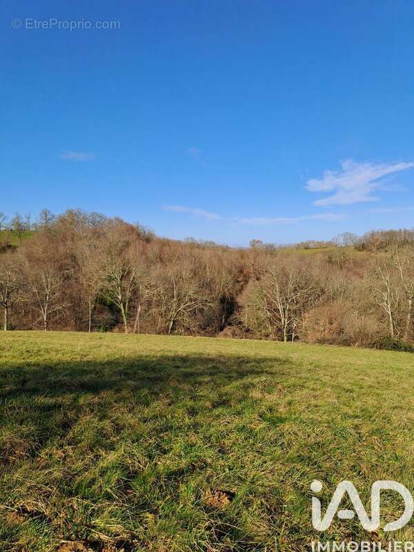 Photo 4 - Terrain à SARRAGUZAN