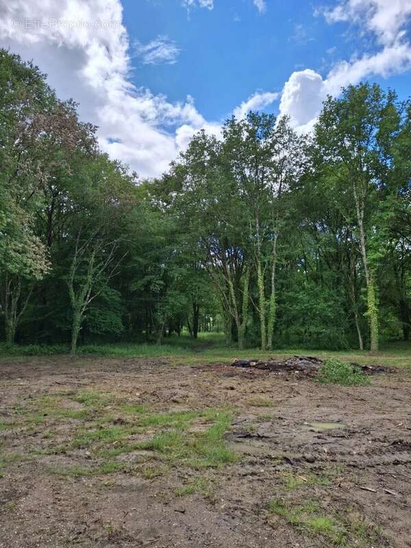 À vendre longère terrain 1,8 ha St-Malo-en-Donziois - photo 50