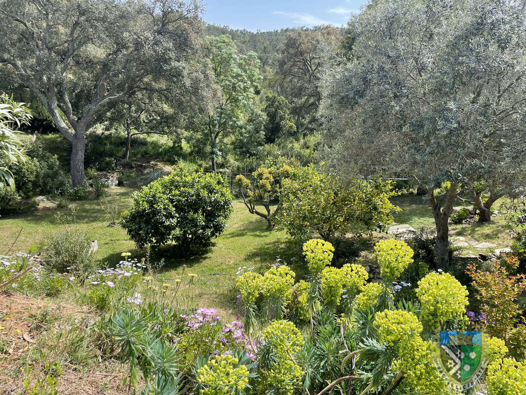 Maison à LA LONDE-LES-MAURES