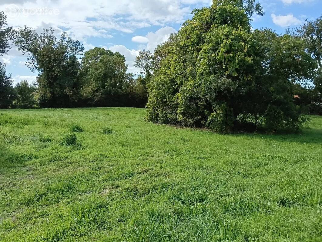 Terrain à LA BARRE-DE-MONTS