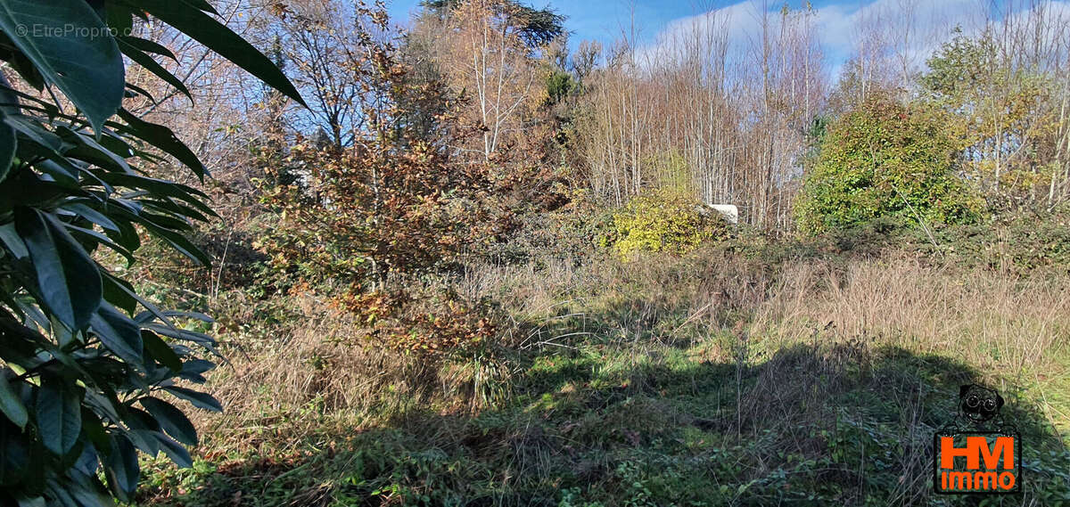 Terrain à LADIGNAC-LE-LONG