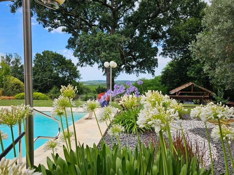 Villa de plain pied - 4 chambres - piscine - terrain de pétanque - garage - cadre naturel privilégié - photo 21