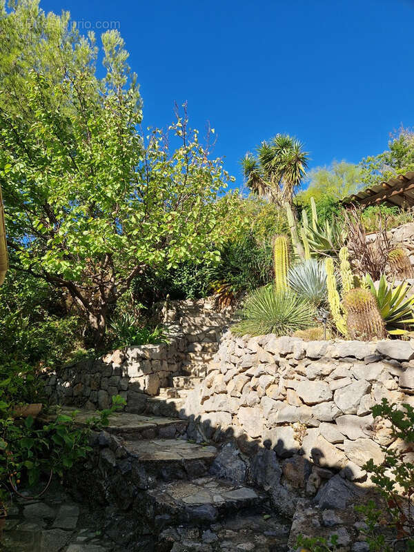 Maison à LA VALETTE-DU-VAR