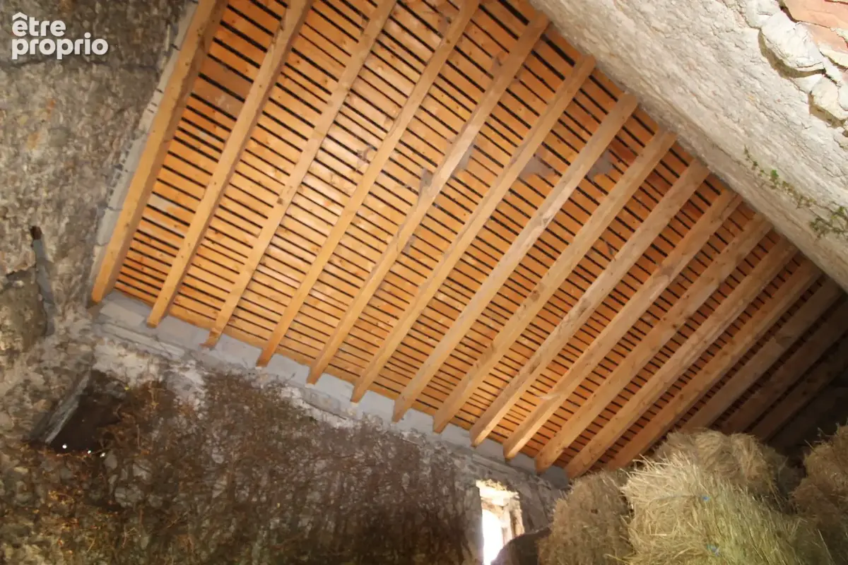 Mas de 2500 m2 sur 26 hectares. - photo 12